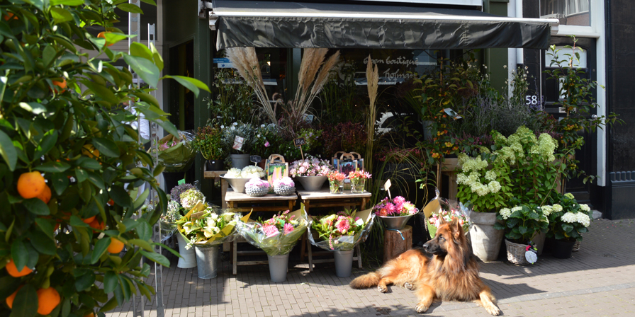 Winkelen in de leukste winkels van Den Haag, Frederikstraat.